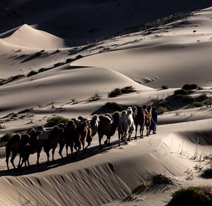 自然-阳光-巴丹吉林沙漠-风光-纪实 图片素材