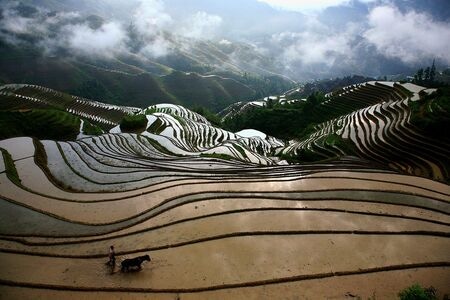 生态-自然-阳光-风光-摄影 图片素材
