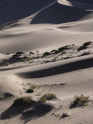 我要上封面-风光-自然-阳光-巴丹吉林沙漠 图片素材