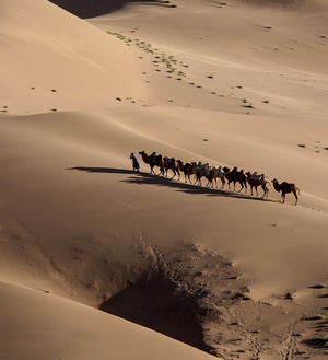 巴丹吉林沙漠-风光-阳光-自然-摄影 图片素材