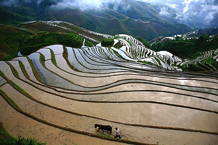 生态-风光-我要上封面-自然-龙脊 图片素材