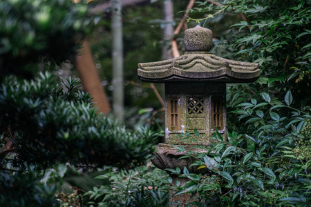 杭州-灵隐-寺庙-光影-夏天 图片素材