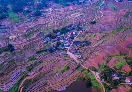 航拍-田园风光-梯田-光影-大地 图片素材