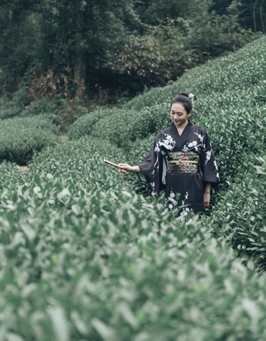 杭州-梅家坞-和服-人像-美女 图片素材
