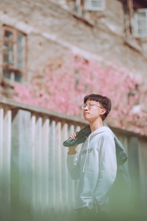 生活-光线-唯美-色彩-浪漫 图片素材