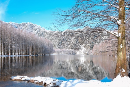 雪景-冷-树-湖面-倒影 图片素材