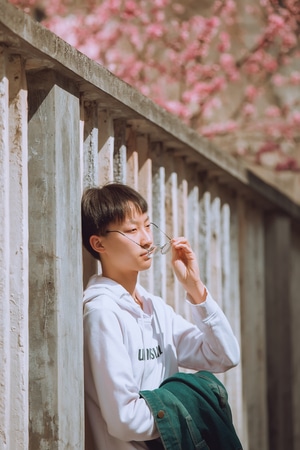生活-光线-唯美-色彩-浪漫 图片素材