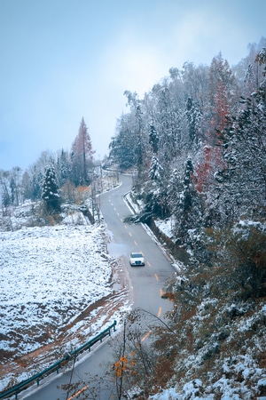 雪景-冷-树-湖面-倒影 图片素材