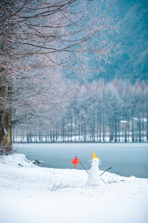 雪-雾凇-唯美-雪人-雪 图片素材