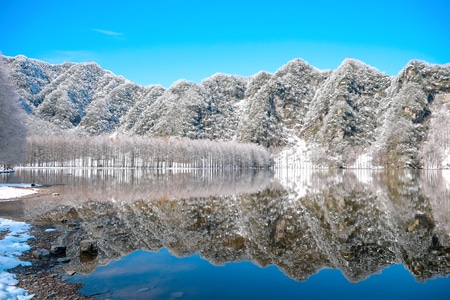雪景-冷-树-湖面-倒影 图片素材