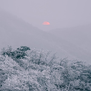 风光-旅行-日落-雾凇-树 图片素材