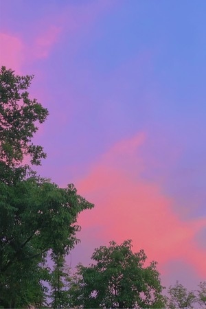 嘉兴市-落日-夕阳-天空-夏天 图片素材