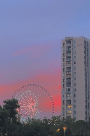 嘉兴市-落日-夕阳-天空-夏天 图片素材