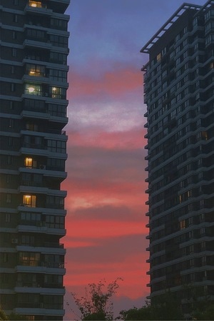 嘉兴市-落日-夕阳-天空-夏天 图片素材