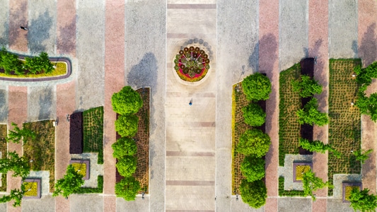 风景-花坛-树-风景-绿化 图片素材