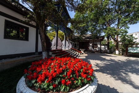 风景-风光-花坛-花-鲜花 图片素材