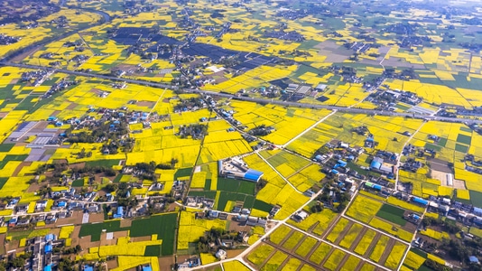 田园风光-风景-风景-风光-村庄 图片素材