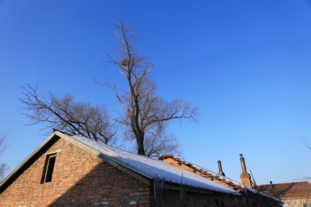 雪-外拍-纪实-树-平房 图片素材