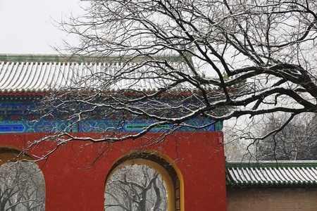 建筑-风光-纪实-斋宫-天坛 图片素材