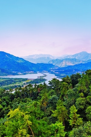 手机摄影-风光-风景-风光-树 图片素材