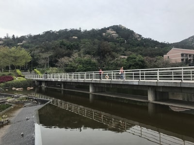 厦门-校园-会计-水景设计-桥 图片素材