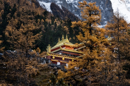 旅行-摄影-风光-稻城-冲古寺 图片素材