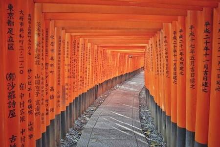 纹理-旅游-日本-道路-廊道 图片素材