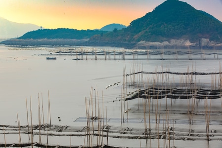 生活-人文-风景-滩涂-海 图片素材