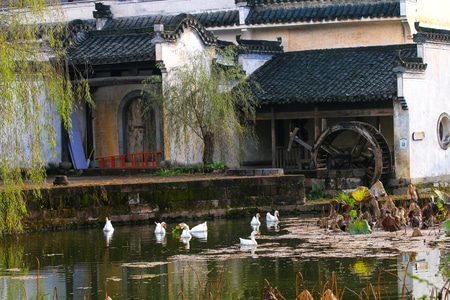 生活-人文-建筑-房屋-小镇 图片素材