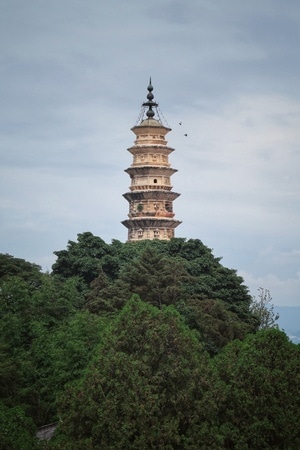 大理-三塔-塔-崇圣寺-树 图片素材