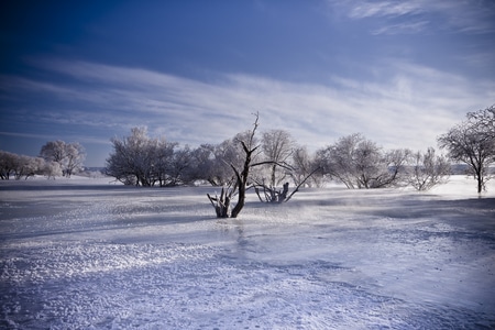 旅行-风景-雪地-自然-风景 图片素材
