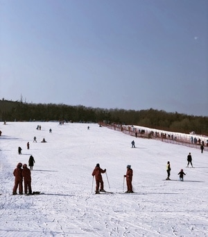 大连-手机摄影-滑雪-冬天-雪 图片素材