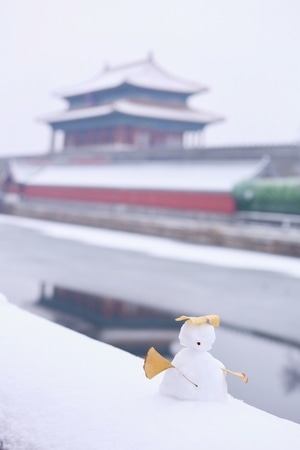 银杏黄了-北京-雪人-银杏-建筑 图片素材