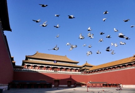 北京-古建-午门-古建筑-午门 图片素材