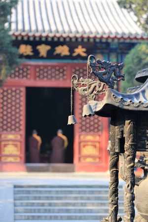 北京法源寺-随拍-花-春-雕像 图片素材