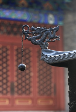 北京法源寺-随拍-花-春-雕像 图片素材