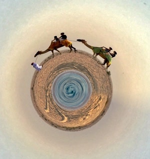 旅行-迪拜-骆驼-沙漠骆驼-动物 图片素材