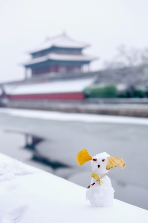 银杏黄了-北京-雪人-银杏-建筑 图片素材