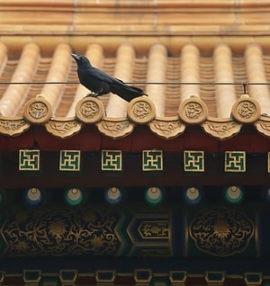 故宫-北京-随拍-故宫-古建筑 图片素材