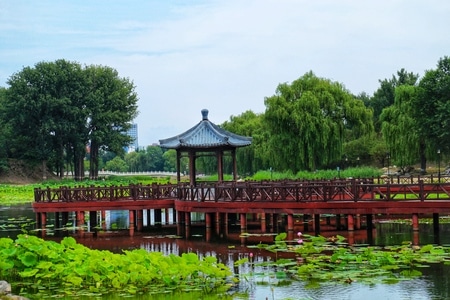圆明园公园-公园-色彩-风光-佳能 图片素材