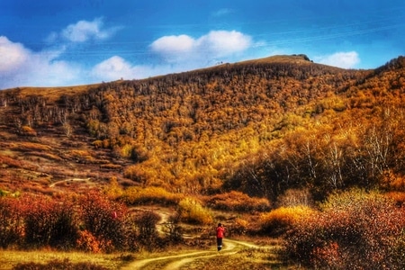 光影-风景-风光-景观-纪实 图片素材