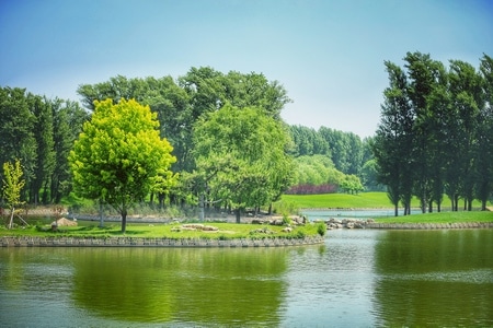 我的六月-公园-风光-风景-景观 图片素材