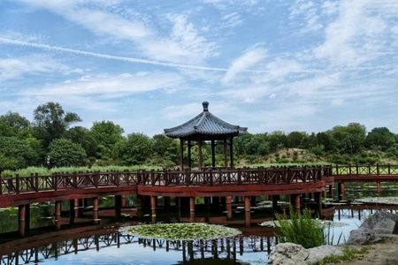 佳能-风光-色彩-公园-圆明园公园 图片素材