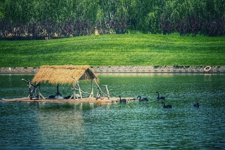 我的六月-动物园-风光-风景-景观 图片素材