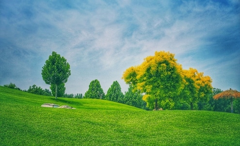 我的六月-夏天-风光-风景-景观 图片素材