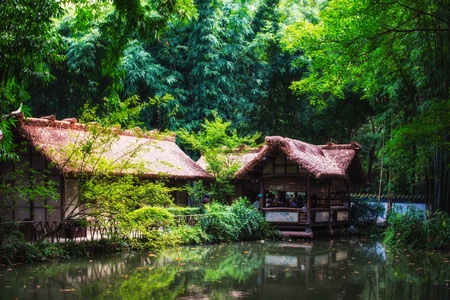 城-成都-杜甫草堂-光影-宅家 图片素材