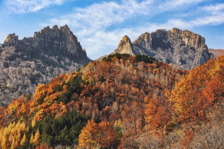 北京-秋景-秋天-森林-山 图片素材