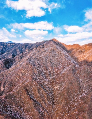 北京-春景-风景-风光-自然 图片素材