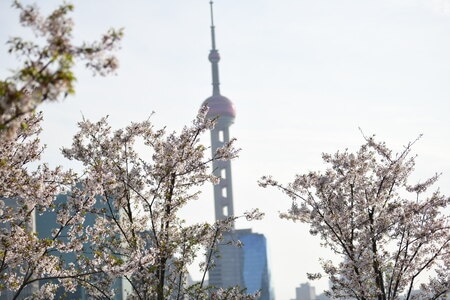 城市天际线-光阴的故事-静怡-风景-随拍 图片素材