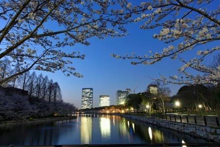 无题-景色-夜景-风光-城市 图片素材